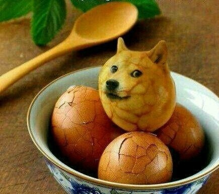 聊天斗图必备！无处不在的Doge表情包合集