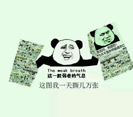 斗图党集合！这套金馆长熊猫表情包直接封神