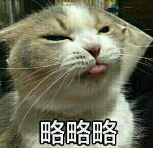 聊天斗图必备！这款略略略表情包系列太好用了