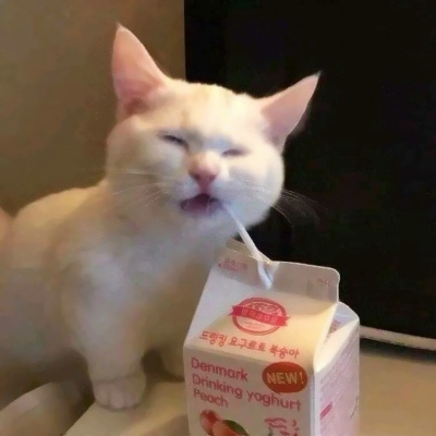 22组超可爱搞怪萌宠情头！一对两张高清图直接抱走