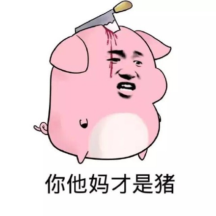 “注意素质，你这骚猪蠢猪”表情包包上线，斗图又有新素材了