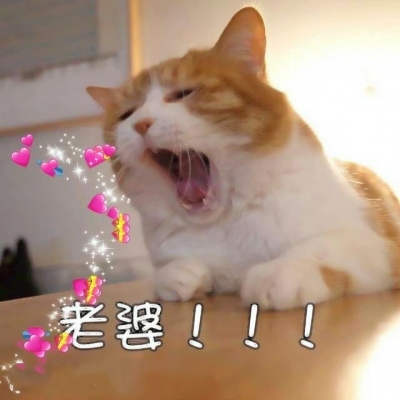 搞怪动物情侣头像来啦！带字创意款共12张高清图