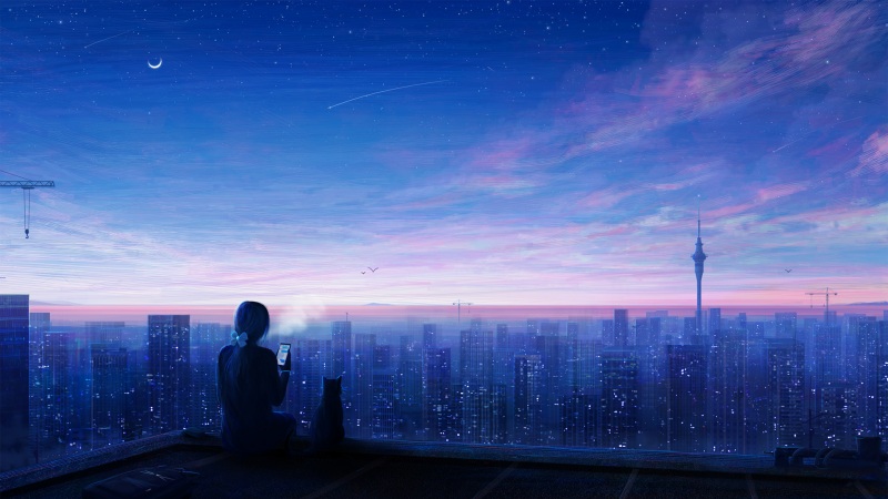 城市夜晚星空下撸猫的动漫女孩壁纸来了 适配多款屏幕尺寸
