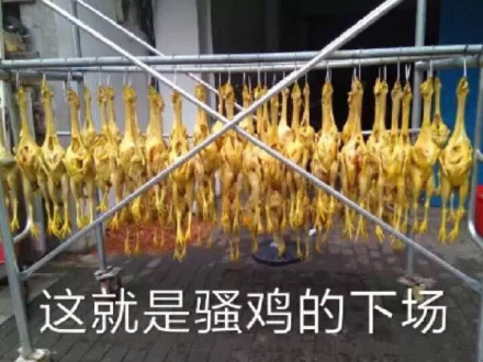 5月23日斗图表情包原图合集