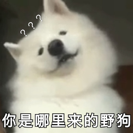 狗狗斗图表情包来啦！