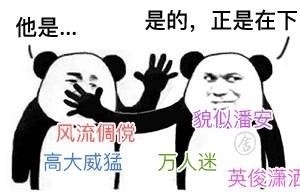 这套“是的正是他”表情包火了！熊猫人怼人装逼都能用