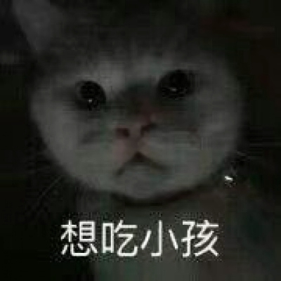 22组超可爱搞怪萌宠情头！一对两张高清图直接抱走