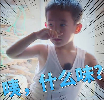 最近超火的斗图表情包整理好了