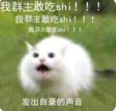 群主整活名场面合集！这些离谱操作笑到打鸣