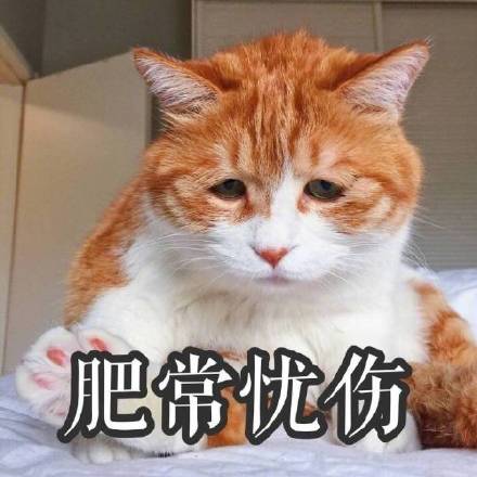 满脸写着高兴的反差感表情包来啦