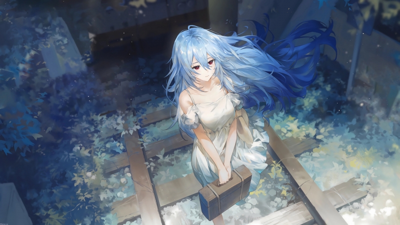 EVA新世纪福音战士主题动漫壁纸 森林轨道女孩手提箱风格