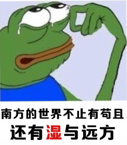 这套