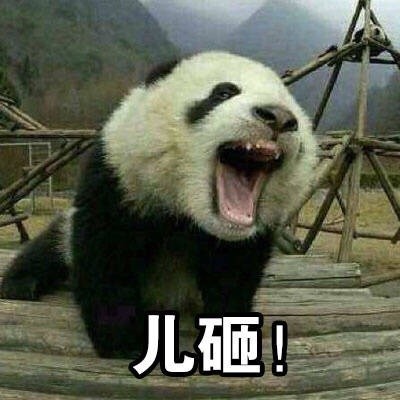 快艾特你的“儿砸”来用这套表情包