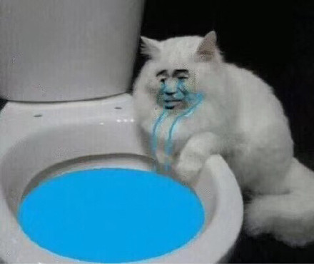 8月11日斗图表情包合集来啦