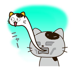 超全猫猫兔子萌萌哒动图表情包合集