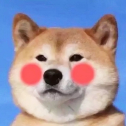 超萌宠物情侣头像！高清一对两张共26张合集