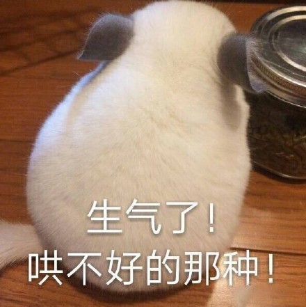 最近超火的无水印表情包合集