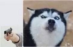 最近聊天超火的表情包都在这了