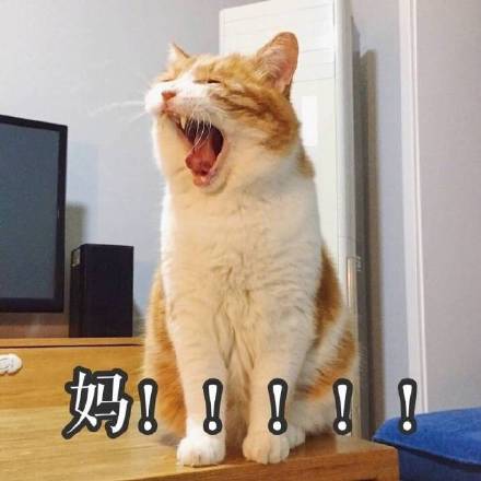 满脸写着高兴的反差感表情包来啦