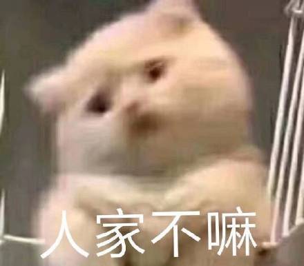 1月10日斗图表情包上新啦 多款热门梗图一次看个够