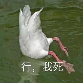 9月1日热门表情包原图合集来了