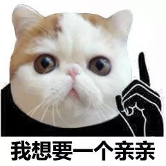 超治愈！这组猫咪头表情包太适合斗图了