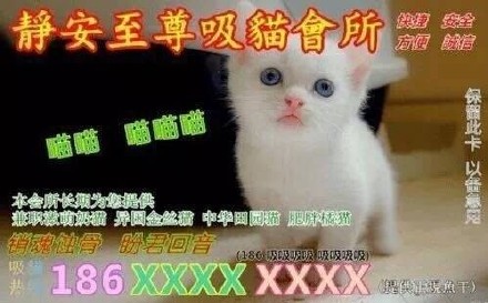 整理一波好用的斗图杂图表情包