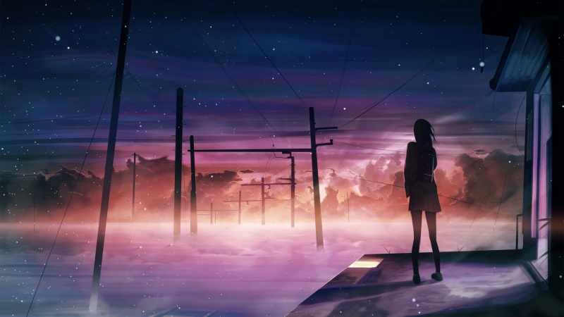 晚上星空夕阳异世界的绝美动漫壁纸！这份高清壁纸太戳心了