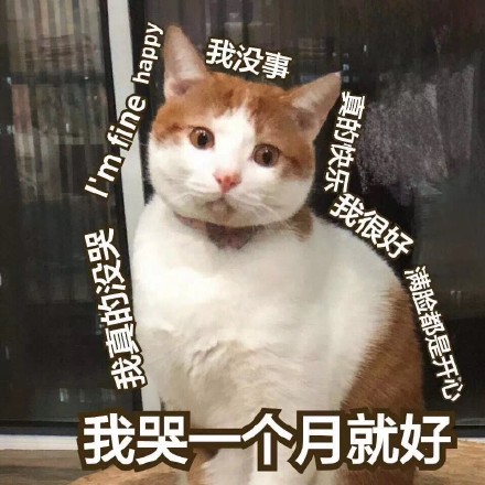 最近全网都在刷的热门表情包，都整理好了