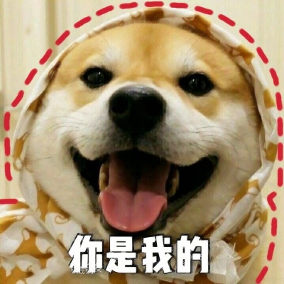 搞怪动物情侣头像来啦！带字创意款共12张高清图