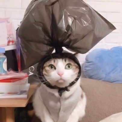 搞笑逗比情侣头像！左右配对一套8张