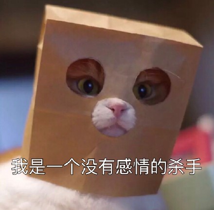 11月27日热门斗图表情包合集来了