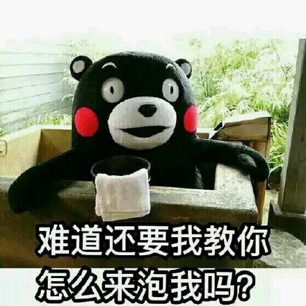 火遍全网的日本国宝熊本熊表情包合集