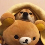 超可爱一左一右情头！36张高清好看的情侣头像合集