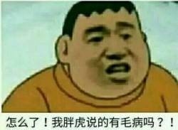 聊天斗图神器！这套胖虎表情包火出圈了