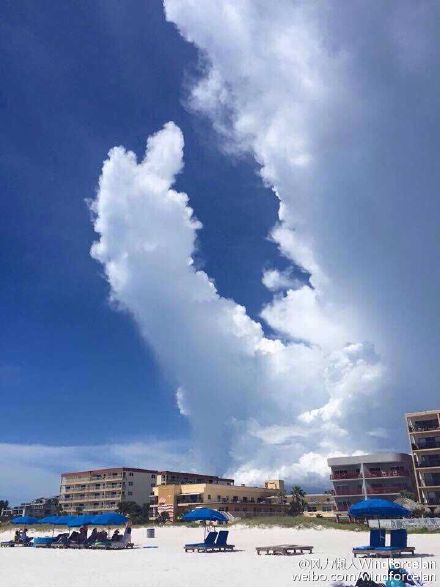 云朵金馆长版“食屎啦你”表情包来啦