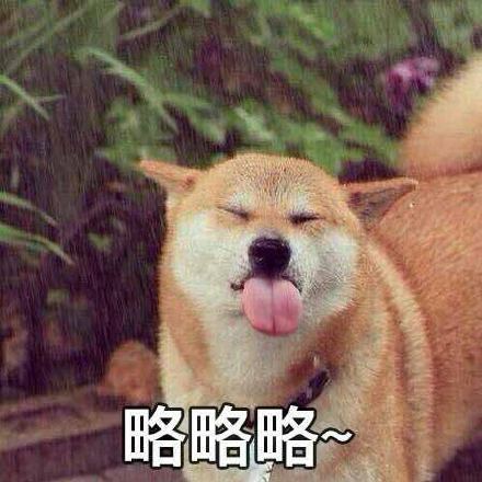 聊天斗图必备！这款略略略表情包系列太好用了