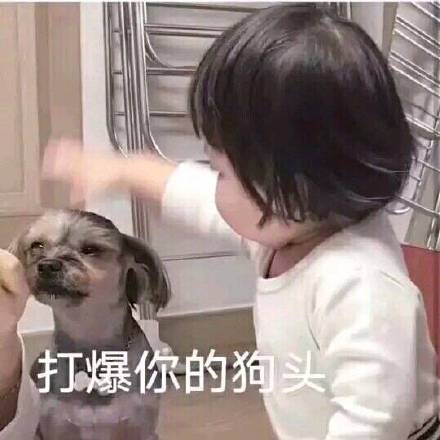 5月3日热门斗图表情包合集来啦