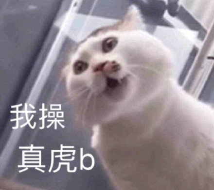 1月7日斗图表情包合集来了