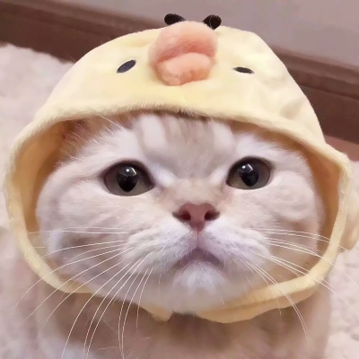 超萌可爱猫咪情侣头像 8张高清一对两张情头分享