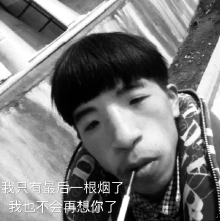 11月8日斗图表情包精选合集