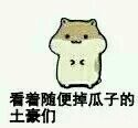 盘点超火的仓鼠配瓜子表情包