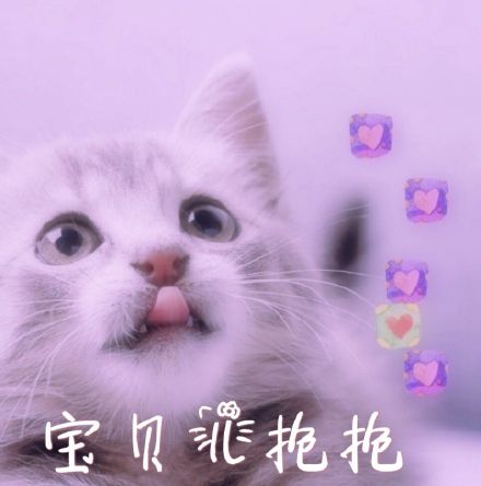 11月7日斗图表情包精选合集