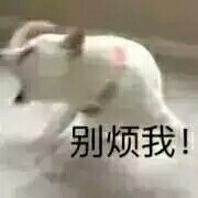 网友整理的宠物斗图表情包合集
