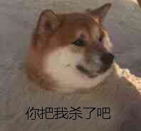 9月16日斗图表情包合集