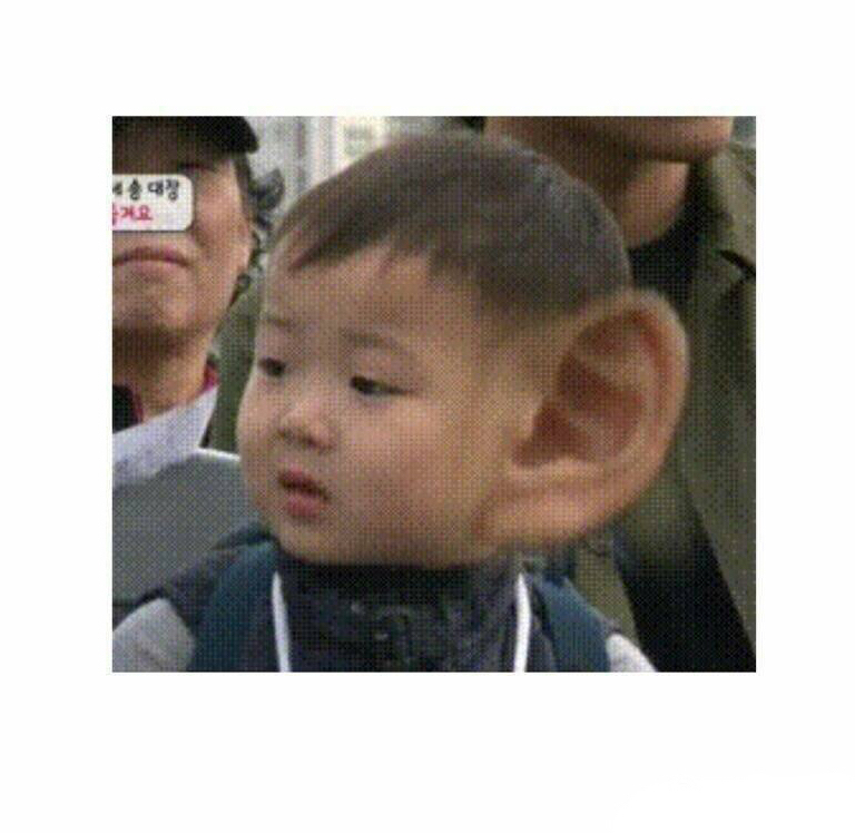 当下超火的表情包原图都在这了