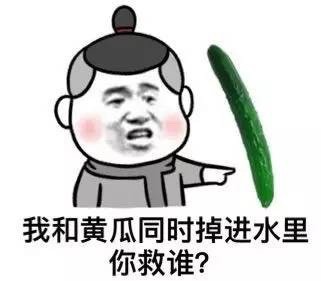 “全特么是套路”表情包合集来了