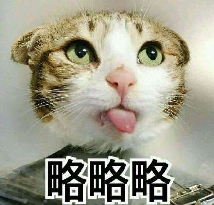 聊天斗图必备！这款略略略表情包系列太好用了
