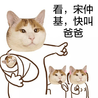 猫头宋仲基可爱表情包合集