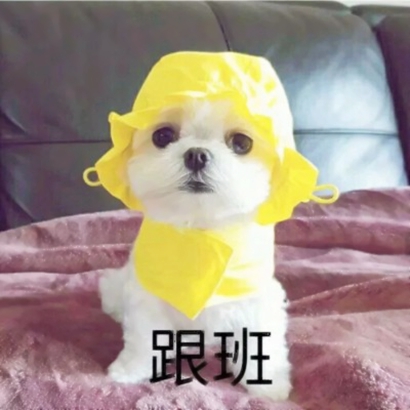 可爱动物情侣头像来啦！12张高清一左一右配对图